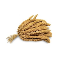 Doğal Dal Darı 250 Gr Doğal Dal Darı 250 Gr