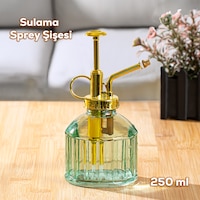 Perotti Vintage Cam Bitki Sulama Şişesi 250 ML Yeşil Perotti Vintage Cam Bitki Sulama Şişesi 250 ML Yeşil