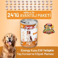 Energy Kuzu Etli Yetişkin Yaş Köpek Maması 400 G - 24 Adet Energy Kuzu Etli Yetişkin Yaş Köpek Maması 400 G - 24 Adet
