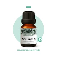 Nefes Açıcı Nane Ve Mentol Esansiyel Uçucu Koku Yağı Buhurdanlık Yağı Difüzör Esansı Küre 10ml Nane Okaliptüs Nefes Açıcı Nane Ve Mentol Esansiyel Uçucu Koku Yağı Buhurdanlık Yağı Difüzör Esansı Küre 10ml Nane Okaliptüs