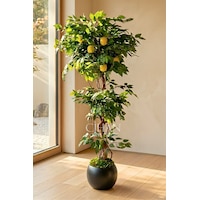 Yapay Limon Ağacı 180 Cm - 6 Limonlu Siyah Küre Saksılı 27x33 Cm Beyaz Yapay Limon Ağacı 180 Cm - 6 Limonlu Siyah Küre Saksılı 27x33 Cm Beyaz