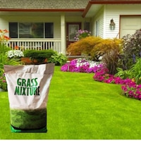 GRass Mixture Galaxy 6 Karışımlı İthal Çim Tohumu 5 KG GRass Mixture Galaxy 6 Karışımlı İthal Çim Tohumu 5 KG