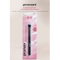 Promani Far Karıştırma Fırçası Pr 453 Promani Far Karıştırma Fırçası Pr 453
