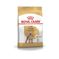 Royal Canin Adult Poodle Küçük Irk Yetişkin Köpek Maması 3 KG