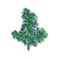 Cihan Çiçekçilik Yapay Çiçek Demet Ficus Dalı 12 Adet 65 Cm Yeşil Cihan Çiçekçilik Yapay Çiçek Demet Ficus Dalı 12 Adet 65 Cm Yeşil