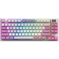 Msı Forge Gk600 Tkl Wıreless Vıolet Tr Rgb Mekanik Gaming Ckckmsı0009 Msı Forge Gk600 Tkl Wıreless Vıolet Tr Rgb Mekanik Gaming Ckckmsı0009