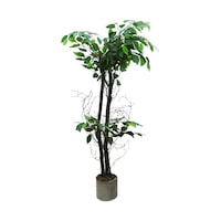 Cihan Çiçekçilik Benjamim 100 Cm Yapay Ağaç 12x12 Metal Saksı Beyaz- Yeşil Cihan Çiçekçilik Benjamim 100 Cm Yapay Ağaç 12x12 Metal Saksı Beyaz- Yeşil