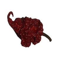 +2 adet Carolina reaper kurutulmuş orginal biber +2 adet Carolina reaper kurutulmuş orginal biber