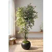 Yapay Benjamin Starlight Ağacı 180 Cm - Küre Saksılı Beyaz Yapay Benjamin Starlight Ağacı 180 Cm - Küre Saksılı Beyaz