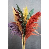 Alyones Dekoratif Şoklanmış Pampas Otu Karışık Renk 14lü 100 Cm Alyones Dekoratif Şoklanmış Pampas Otu Karışık Renk 14lü 100 Cm