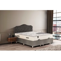 Çift Kişilik Basic Plus Baza 8 Mm Mdf +azra Sleepy Yatak + Prenses Seti Yatak Baza Başlık - 140 X 190 Cm 150x200