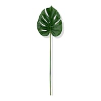 Cihan Çiçekçilik Yapay Tek Dal Monstera Yaprağı 68 Cm Yeşil Cihan Çiçekçilik Yapay Tek Dal Monstera Yaprağı 68 Cm Yeşil