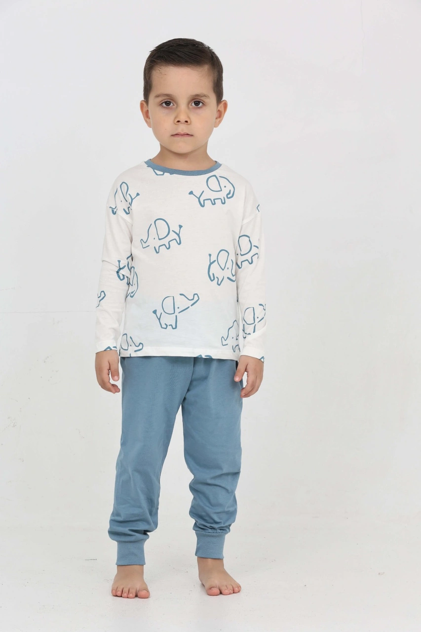 Toontoy Kids Toontoy Erkek Çocuk Fil Pano Baskılı Pijama Takım Mavi
