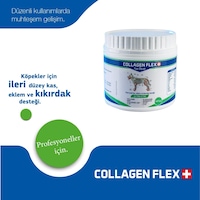 Collagen Flex Professional Eklem ve Kas Desteği 400 G Collagen Flex Professional Eklem ve Kas Desteği 400 G