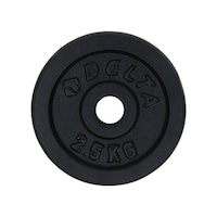 Delta 2,5 Kg Döküm Ağırlık Delta 2,5 Kg Döküm Ağırlık