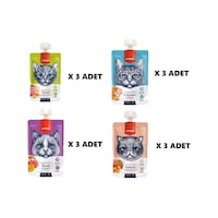 Wanpy Premium 4'ü Lezzetli Kedi Ödülü Seti 12 x 80 G Wanpy Premium 4'ü Lezzetli Kedi Ödülü Seti 12 x 80 G