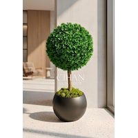 Yapay Uv Dayanımlı Şimşir Top Ağacı 100 Cm 45 Cm Çap 27x33 Cm Küre Saksılı Beyaz Yapay Uv Dayanımlı Şimşir Top Ağacı 100 Cm 45 Cm Çap 27x33 Cm Küre Saksılı Beyaz