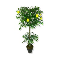 Cihan Çiçekçilik Limon Ağacı 160 Cm Yapay Ağaç Üretim Saksısı Beyaz- Yeşil Cihan Çiçekçilik Limon Ağacı 160 Cm Yapay Ağaç Üretim Saksısı Beyaz- Yeşil
