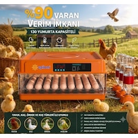 Tam Otomatik Kuluçka Makinesi 130 Yumurta Kapasiteli Akıllı Isı Ve Nem Kontrolü Otomatik Yumurta Tam Otomatik Kuluçka Makinesi 130 Yumurta Kapasiteli Akıllı Isı Ve Nem Kontrolü Otomatik Yumurta