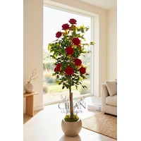 Yapay 10 Güllü Kırmızı Gül Ağacı 150 Cm 27x33 Mocha Küre Saksılı Beyaz