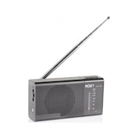 Roxy RXY 170FM Cep Tipi Mini Analog Radyo Roxy RXY 170FM Cep Tipi Mini Analog Radyo