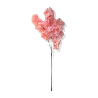 Cihan Çiçekçilik Yapay Lux Bahar Dalı Demeti 100 Cm Soft Pembe Cihan Çiçekçilik Yapay Lux Bahar Dalı Demeti 100 Cm Soft Pembe