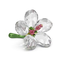 5690534 Swarovski Biblo Florere:hıbıscus S 5690534 Swarovski Biblo Florere:hıbıscus S