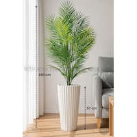 Biçiçek 160 Cm Areka Ağaci 24 Yapraklı Beyaz Li̇lyum Saksıda Biçiçek 160 Cm Areka Ağaci 24 Yapraklı Beyaz Li̇lyum Saksıda