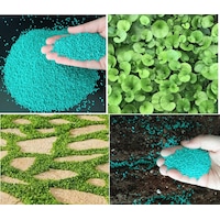 Fare Kulağı Tohumu 500 GR Dichondra Repens Fare Kulağı Çim Tohumu