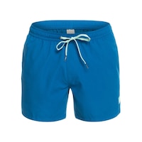 Quiksilver Everyday 15'' Erkek Yüzme Şortu 001