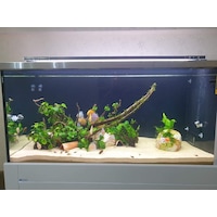 Armatürk 1500L Akvaryum Armatürü 150 CM Armatürk 1500L Akvaryum Armatürü 150 CM