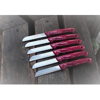 Solingen DELİKLİ-TTL Tırtıklı Meyve-Sebze Bıçağı 1.Kalite 6 Adet Vişne Solingen DELİKLİ-TTL Tırtıklı Meyve-Sebze Bıçağı 1.Kalite 6 Adet Vişne