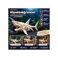 3d Köpekbalığı İskeleti Fosil Görünümlü Akvaryum Dekoru Ve Masaüstü Süs Figürü Kemik Rengi 3d Köpekbalığı İskeleti Fosil Görünümlü Akvaryum Dekoru Ve Masaüstü Süs Figürü Kemik Rengi