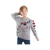 Şekerci Dinozor Erkek Çocuk Gri Sweatshirt Şekerci Dinozor Erkek Çocuk Gri Sweatshirt
