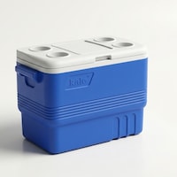 38 Lt Buzluk Termos 1031 Cooler Box -9 Mavi 38 Lt Buzluk Termos 1031 Cooler Box -9 Mavi
