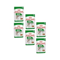 Royal Canin Mini Adult Soslu Konserve Küçük Irk Yetişkin Köpek Maması 6 x 85 G Royal Canin Mini Adult Soslu Konserve Küçük Irk Yetişkin Köpek Maması 6 x 85 G