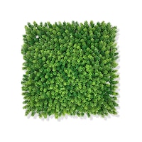 Cihan Çiçekçilik Yapay Çamdalı Bitki Duvar Kaplama 50x50 Cm Açık Yeşil Beyaz- Yeşil Cihan Çiçekçilik Yapay Çamdalı Bitki Duvar Kaplama 50x50 Cm Açık Yeşil Beyaz- Yeşil