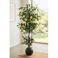 10 Limonlu Yapay Limon Ağacı 180 Cm Küre Saksılı Beyaz 10 Limonlu Yapay Limon Ağacı 180 Cm Küre Saksılı Beyaz