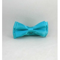 Turkuaz Çocuk Boy Düz Renk Saten Papyon - Cp-22 Turkuaz Çocuk Boy Düz Renk Saten Papyon - Cp-22