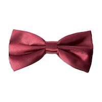 DeepSea Erkek Bordo Düz Saten Klasik Papyon 1901728 Bordo DeepSea Erkek Bordo Düz Saten Klasik Papyon 1901728 Bordo