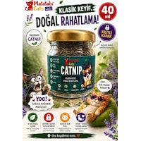 Catnip Kedi Nanesi Doğal,premium Catnip Kedi Nanesi Doğal,premium