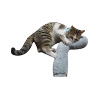 Tineke Kedi Otlu Sarılma Yastığı Uyku Oyuncağı 30 CM Tineke Kedi Otlu Sarılma Yastığı Uyku Oyuncağı 30 CM