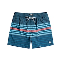 Billabong All Day Stripes Erkek Deniz Şortu Lacivert Billabong All Day Stripes Erkek Deniz Şortu Lacivert