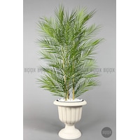Biçiçek Yapay Areka Palmi̇yesi̇ 130 Cm 33 Yaprak Krem Nergi̇s Saksıda Biçiçek Yapay Areka Palmi̇yesi̇ 130 Cm 33 Yaprak Krem Nergi̇s Saksıda