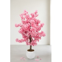 27 33 Küre Saksılı Yapay Pembe Bahar Dalı Ağacı 120 Cm Beyaz 27 33 Küre Saksılı Yapay Pembe Bahar Dalı Ağacı 120 Cm Beyaz