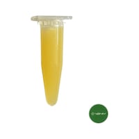 3v Keiki Orkide Macunu- Orkide Yetiştirme Macunu 1,5 Gr 1 3v Keiki Orkide Macunu- Orkide Yetiştirme Macunu 1,5 Gr 1