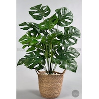 Biçiçek Yapay Monstera Deve Tabani 65 Cm Kulplu Hasir Saksıda Biçiçek Yapay Monstera Deve Tabani 65 Cm Kulplu Hasir Saksıda