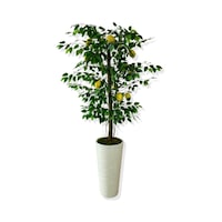 Cihan Çiçekçilik Yapay Ağaç Limon Ağacı 170 Cm 56x30x20 Beyaz Kumsal Saksı Yeşil Cihan Çiçekçilik Yapay Ağaç Limon Ağacı 170 Cm 56x30x20 Beyaz Kumsal Saksı Yeşil