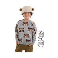 Denokids Ayı Rakun Erkek Çocuk Gri Triko Kazak Renkli