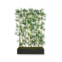 Cihan Çiçekçilik Bambu Seperatör 200 Cm 9 Adet Bambu 100 Cm Antrasit Saksı Beyaz- Yeşil Cihan Çiçekçilik Bambu Seperatör 200 Cm 9 Adet Bambu 100 Cm Antrasit Saksı Beyaz- Yeşil